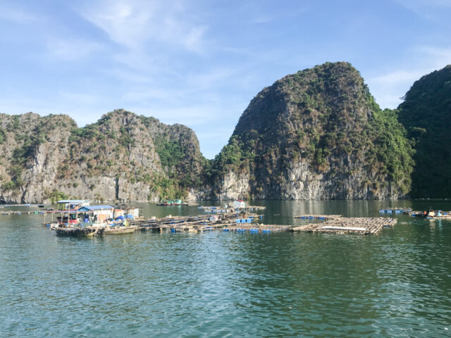 Halong Bay