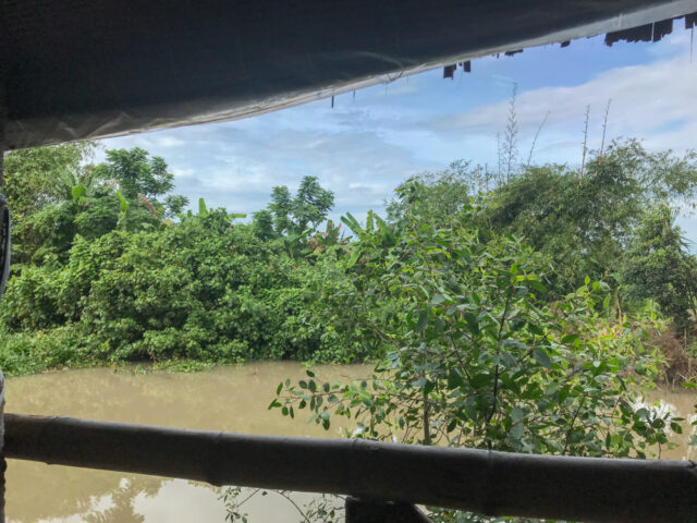 Mekong Delta