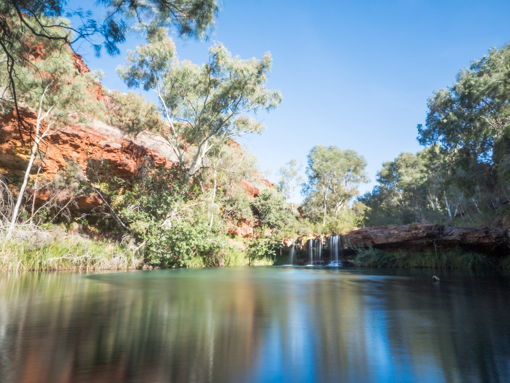 Fern Pool