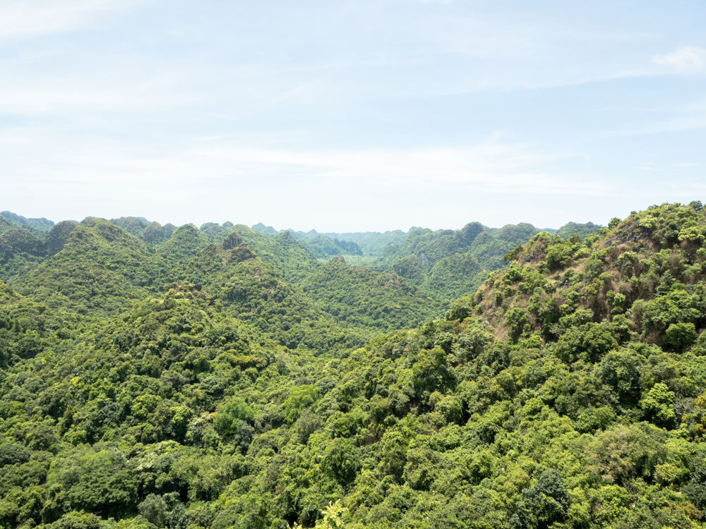 Cat Ba Island