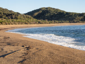Wandern im Chiloé-Nationalpark