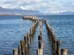 Holzpfähle ragen ins Meer, im Hintergrund schneebedeckte Berge.